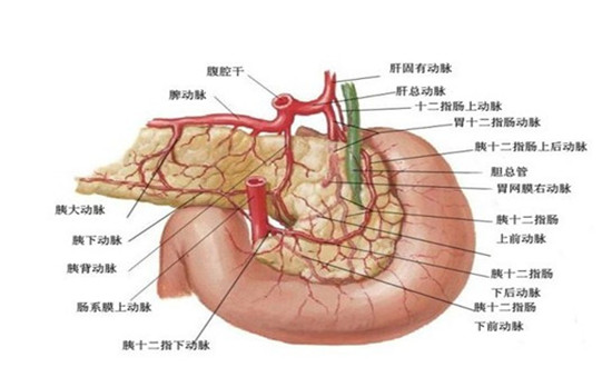 胆囊癌照片